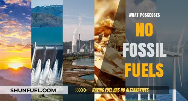Exploring Renewable Energy: What Possesses No Fossil Fuels and Why It Matters