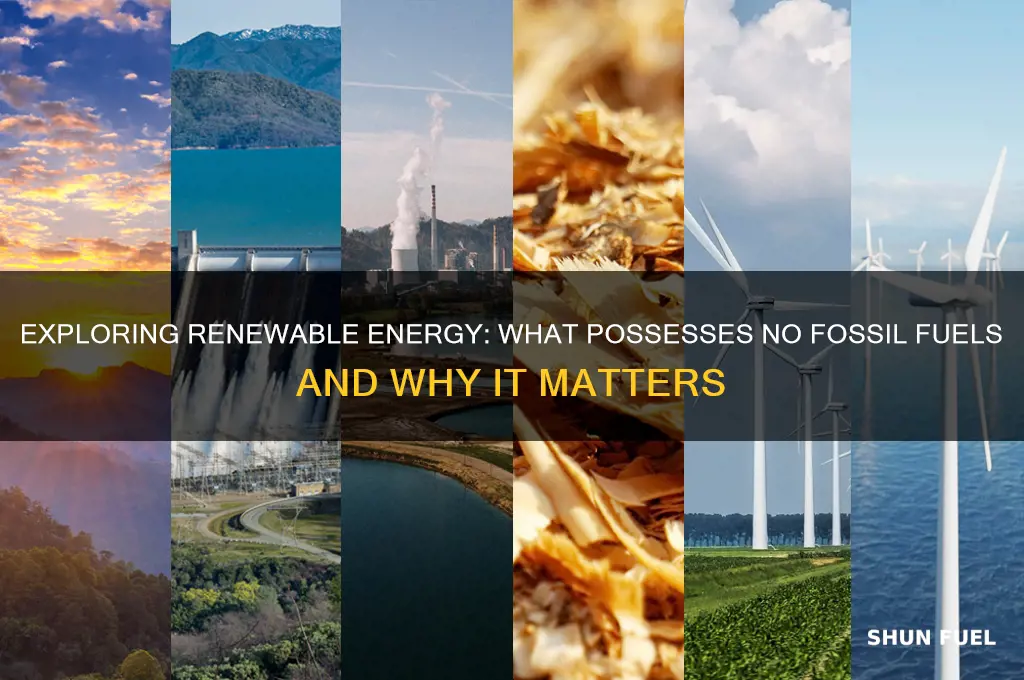 what possesses no fossil fuels