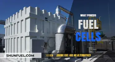 Exploring the Energy Sources Behind Fuel Cell Technology