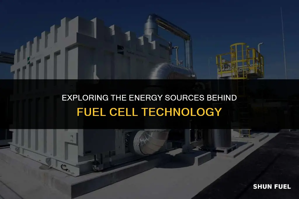 what powers fuel cells