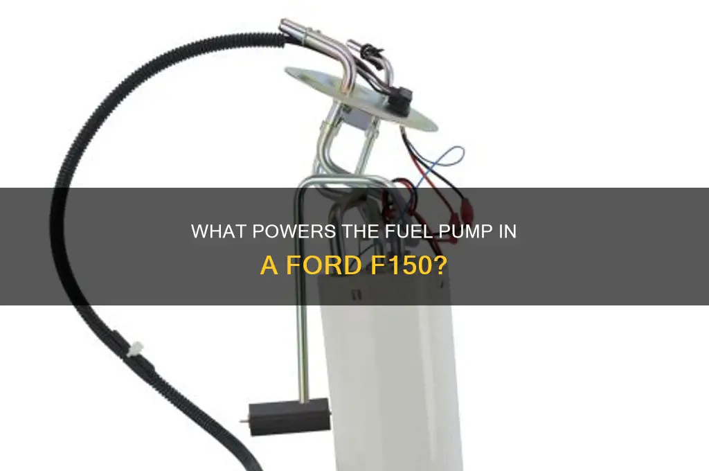 what powers fuel pump ford f150