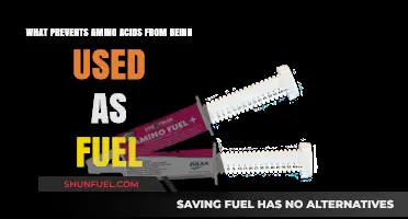 Why Amino Acids Aren't Primary Fuel Sources for the Body