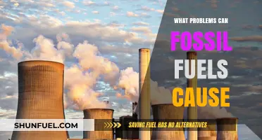 Fossil Fuels' Dark Side: Environmental, Health, and Climate Crisis Explained