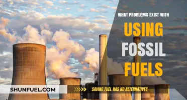 Fossil Fuels' Environmental and Economic Challenges: A Comprehensive Overview