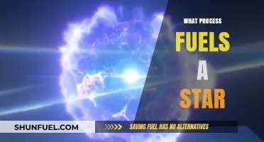 The Cosmic Engine: Unveiling the Nuclear Fusion Powering Stars