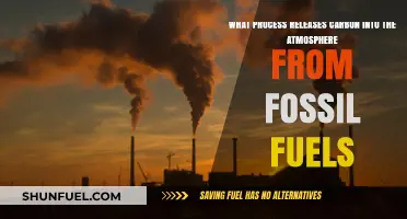 Fossil Fuel Combustion: The Carbon Release Process Explained