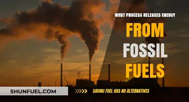 Unlocking Energy: The Combustion Process of Fossil Fuels Explained