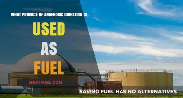Anaerobic Digestion's Biogas: A Renewable Fuel Source Explained