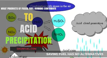 Fossil Fuel Emissions: Key Contributors to Acid Rain Formation