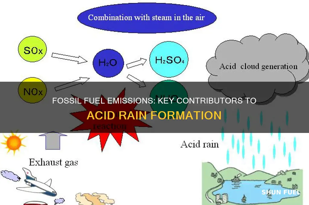 what products of fossil fuel burning contribute to acid precipitation