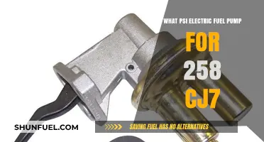 Choosing the Right PSI Electric Fuel Pump for Your 258 CJ7