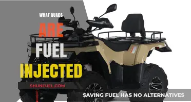 Exploring Fuel Injection: A Guide to Quad Models and Benefits