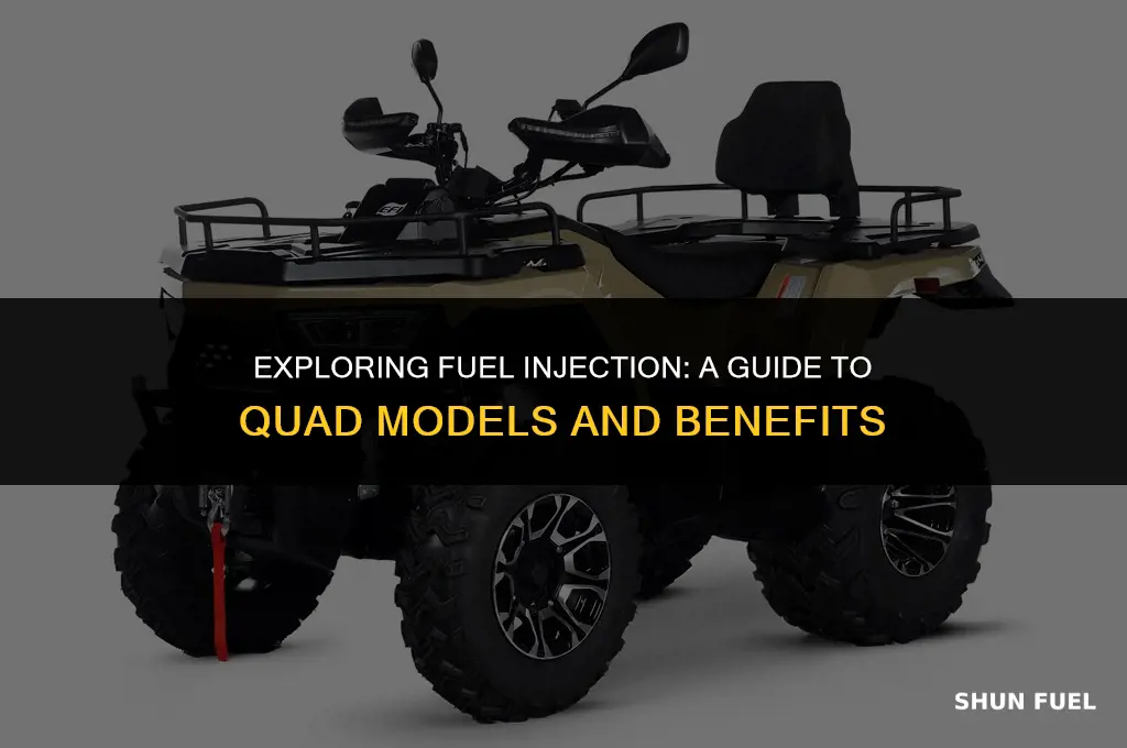 what quads are fuel injected