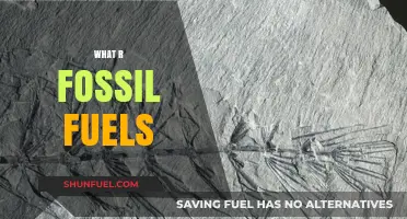 Understanding Fossil Fuels: Origins, Uses, and Environmental Impact Explained