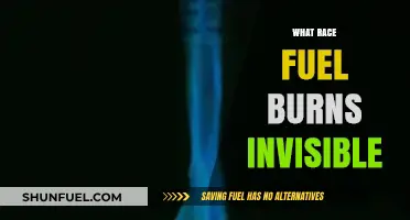 Invisible Flames: Unveiling the Mysteries of Clean-Burning Fuels