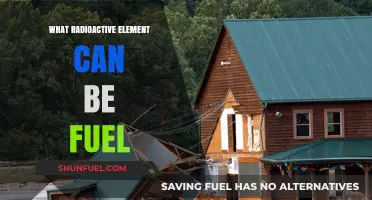 Exploring Radioactive Elements as Sustainable Nuclear Fuel Sources
