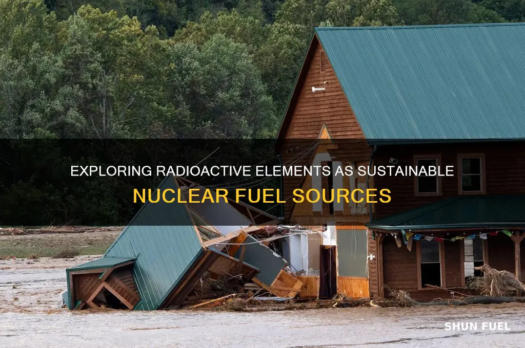 what radioactive element can be fuel