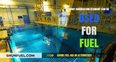 Harnessing Radioactive Power: Exploring Elements for Sustainable Nuclear Fuel