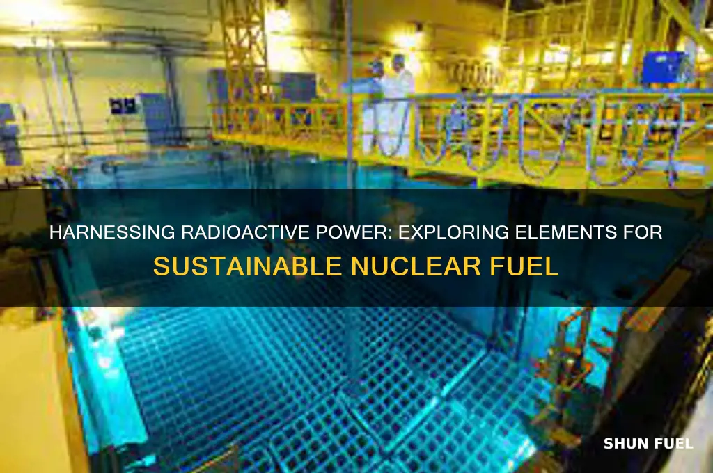 what radioactive element can be used for fuel