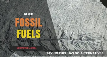 Understanding Fossil Fuels: Origins, Uses, and Environmental Impact Explained