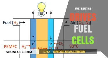 The Electrochemical Reaction Powering Fuel Cells: A Sustainable Energy Source