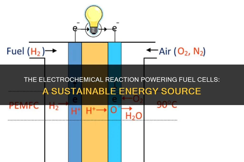 what reaction drives fuel cells