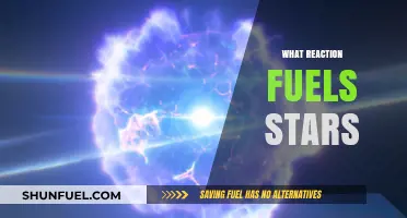 The Cosmic Engine: Unveiling the Nuclear Fusion Powering Stars