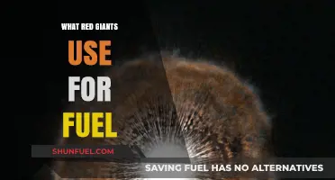 Red Giants' Fuel Source: Unlocking the Secrets of Stellar Evolution