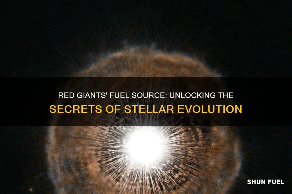 what red giants use for fuel