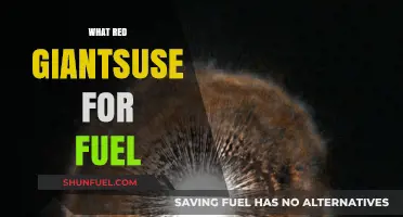 Cosmic Titans: Unveiling the Fuel Sources of Red Giants
