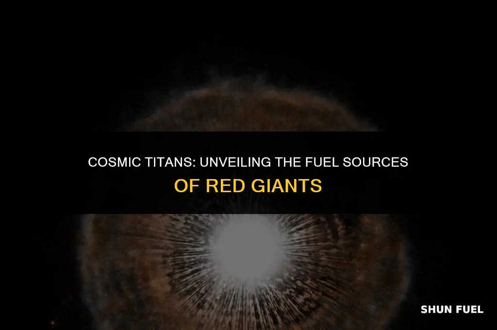what red giantsuse for fuel