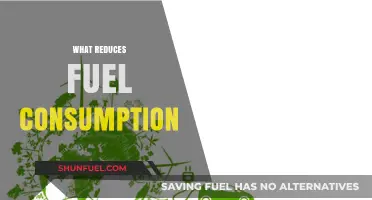 Eco-Friendly Driving: Simple Tips to Slash Your Fuel Consumption