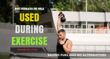 Understanding Exercise Fuel Regulation: How Your Body Powers Physical Activity