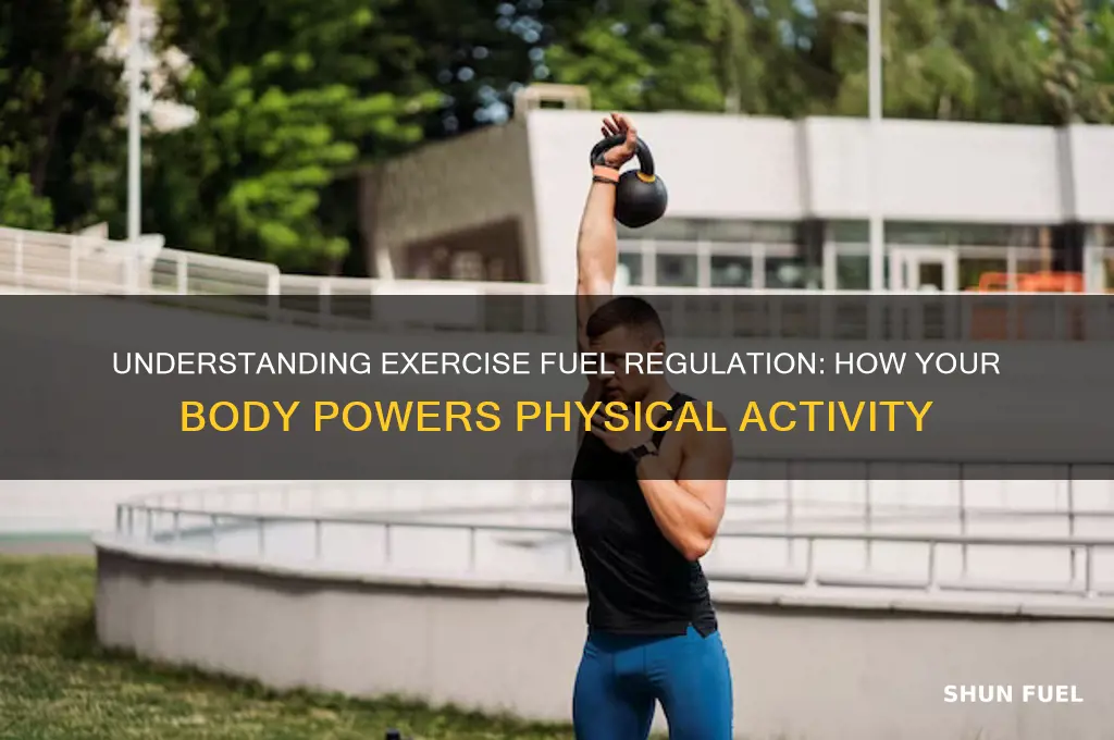 what regulates the fuels used during exercise