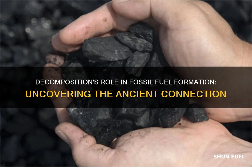 what relationship exists between decomposition and fossil fuels