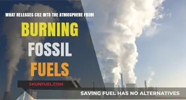Burning Fossil Fuels: Unveiling the CO2 Emissions Crisis