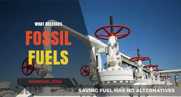 Unleashing Fossil Fuels: Processes That Release Earth's Buried Energy Reserves