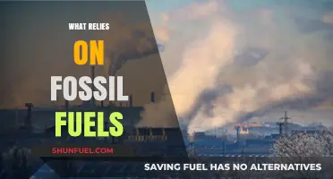 Fossil Fuels: Powering Industries, Transportation, and Daily Life