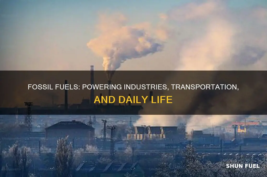 what relies on fossil fuels