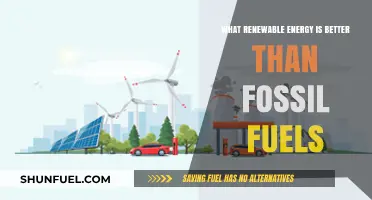Renewable Energy vs. Fossil Fuels: Which Clean Power Source Wins?