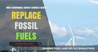 Sustainable Power Alternatives: Renewable Energy Sources to Replace Fossil Fuels