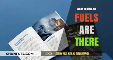Exploring the Spectrum of Renewable Fuels: A Comprehensive Guide