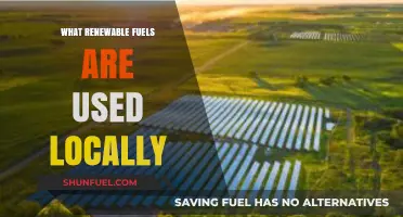 Exploring Local Renewable Fuels: Sustainable Energy Sources in Your Community
