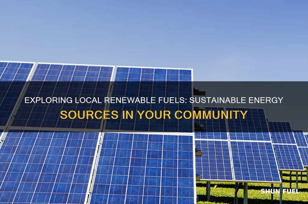 what renewable fuels are used locally