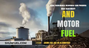 Biomass: The Versatile Renewable Resource for Heat, Electricity, and Fuel