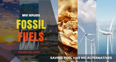 Sustainable Energy Transition: What Replaces Fossil Fuels in a Greener Future