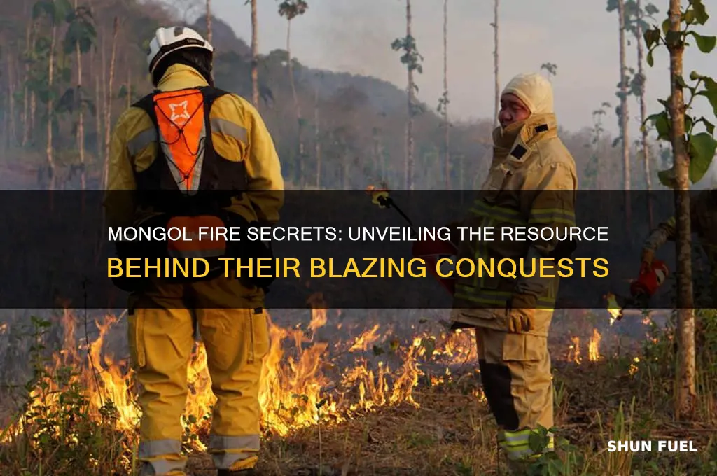 what resource did the mongols use to fuel their fires