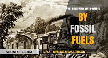 Fossil Fuels: The Driving Force Behind the Industrial Revolution