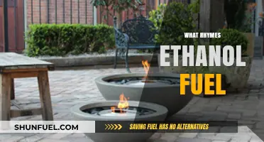 Exploring Eco-Friendly Alternatives: What Rhymes with Ethanol Fuel?