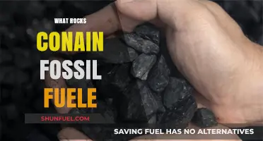 Fossil Fuel Origins: Which Rocks Hold Ancient Energy Reserves?